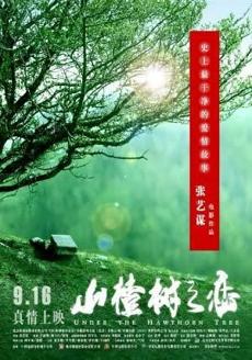 Poster de 