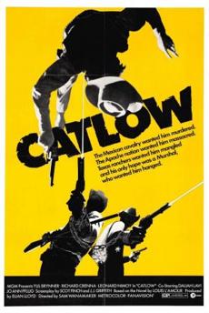 Poster de 