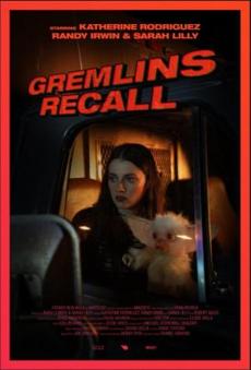 Poster de 
