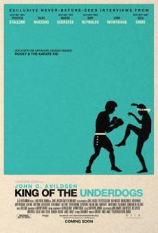 Poster de 