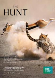 Poster de 