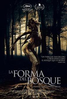 Poster de 