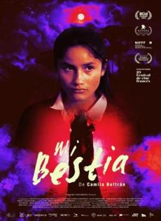 Poster de 