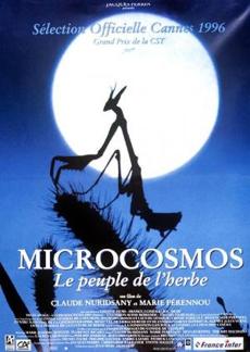Poster de 