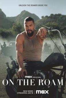 Poster de 