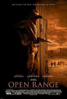 Poster de 