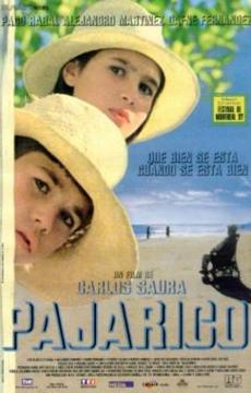 Poster de 