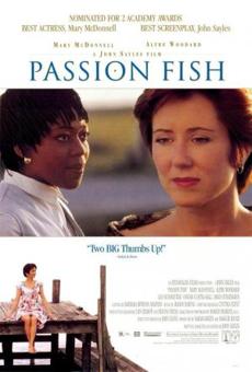 Poster de 