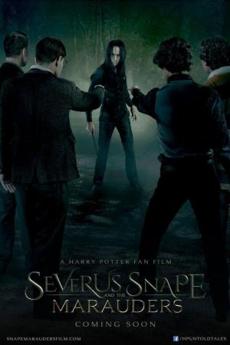 Poster de 