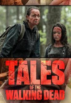 Poster de 