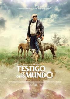 Poster de 