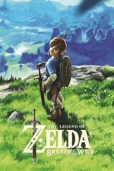 Poster de 