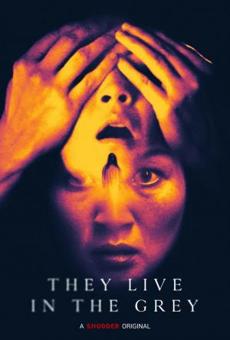 Poster de 