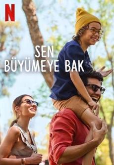 Poster de 
