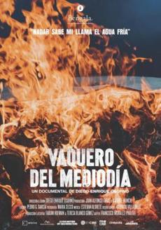 Poster de 