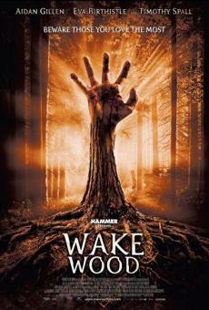 Poster de 